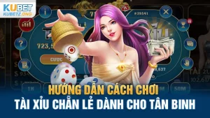 Hướng Dẫn Cách Chơi Tài Xỉu Chẵn Lẻ Dành Cho Tân Binh