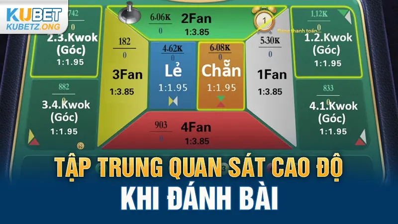 Tập trung quan sát cao độ khi đánh bài