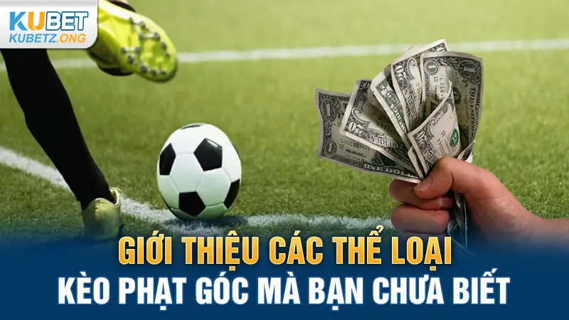 Giới thiệu các thể loại kèo phạt góc mà bạn chưa biết