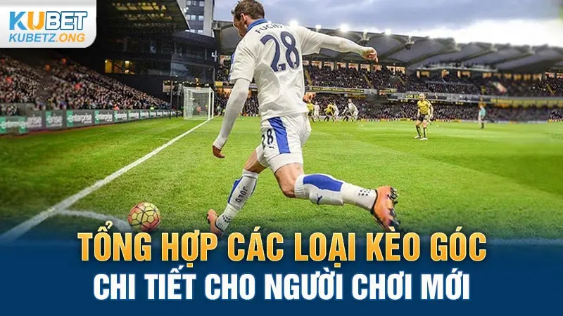 Tổng hợp các loại kèo góc chi tiết cho người chơi mới